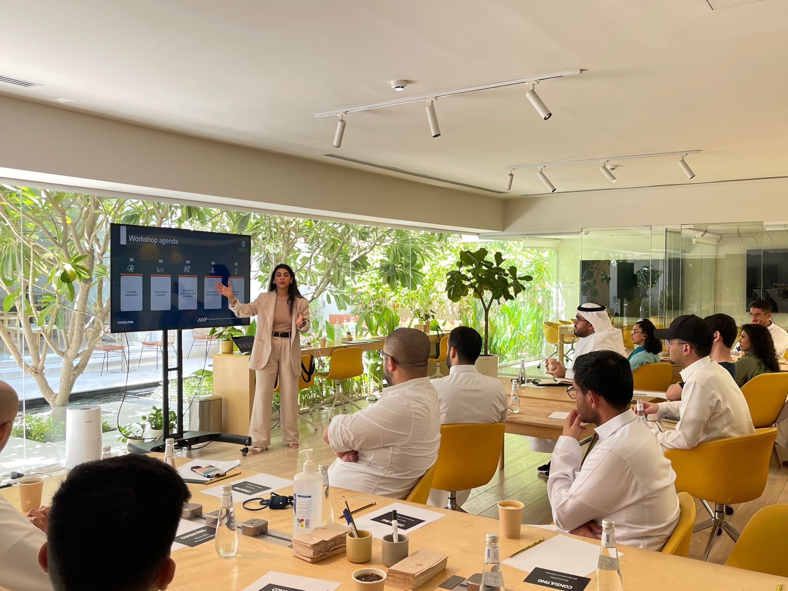 Professional consulting meeting